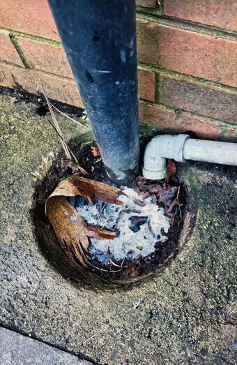 https://plumberbeechboro.com.au/uploads/2025/06/blocked-drains-294506.jpg
